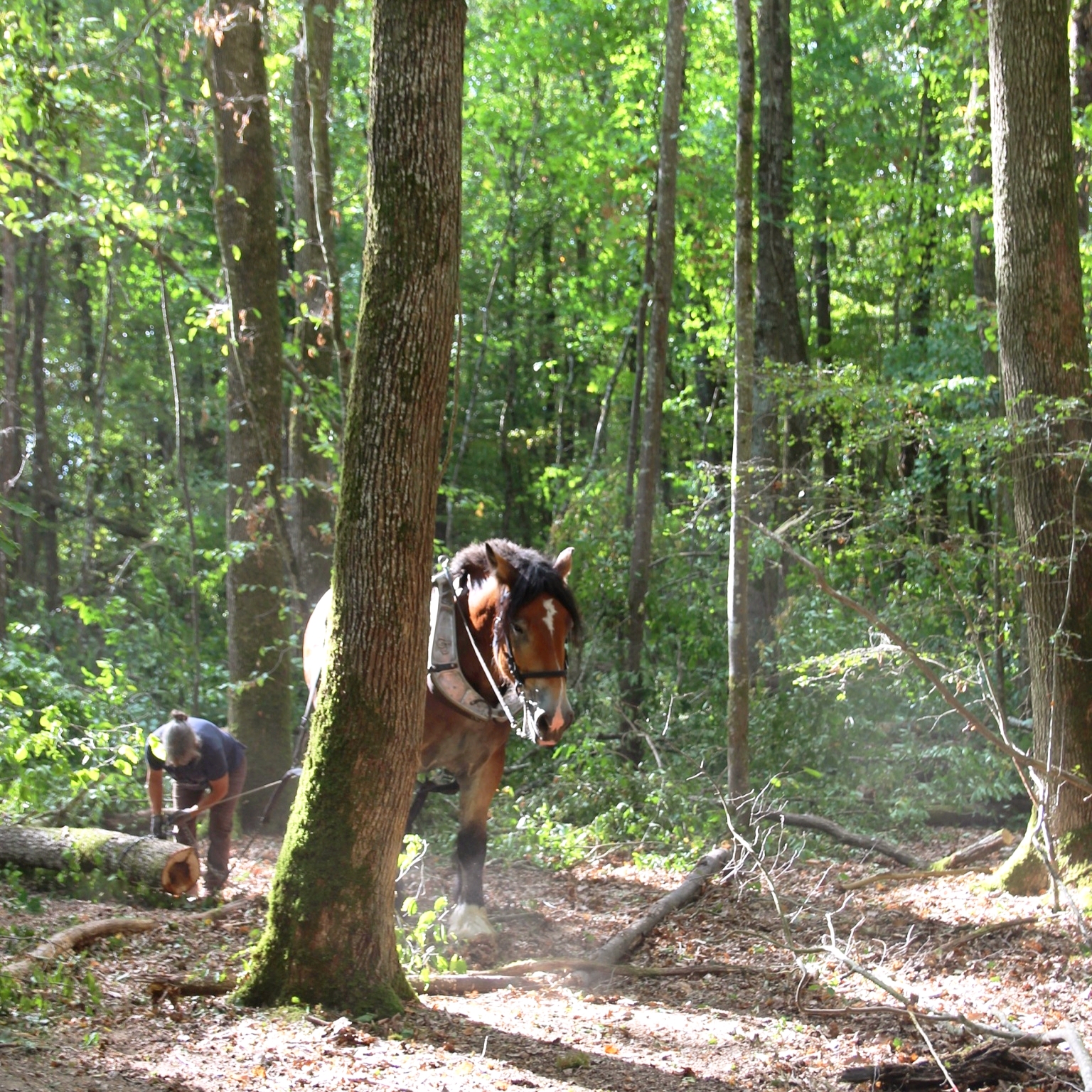 Photo 5 – Matthieu Jeanville