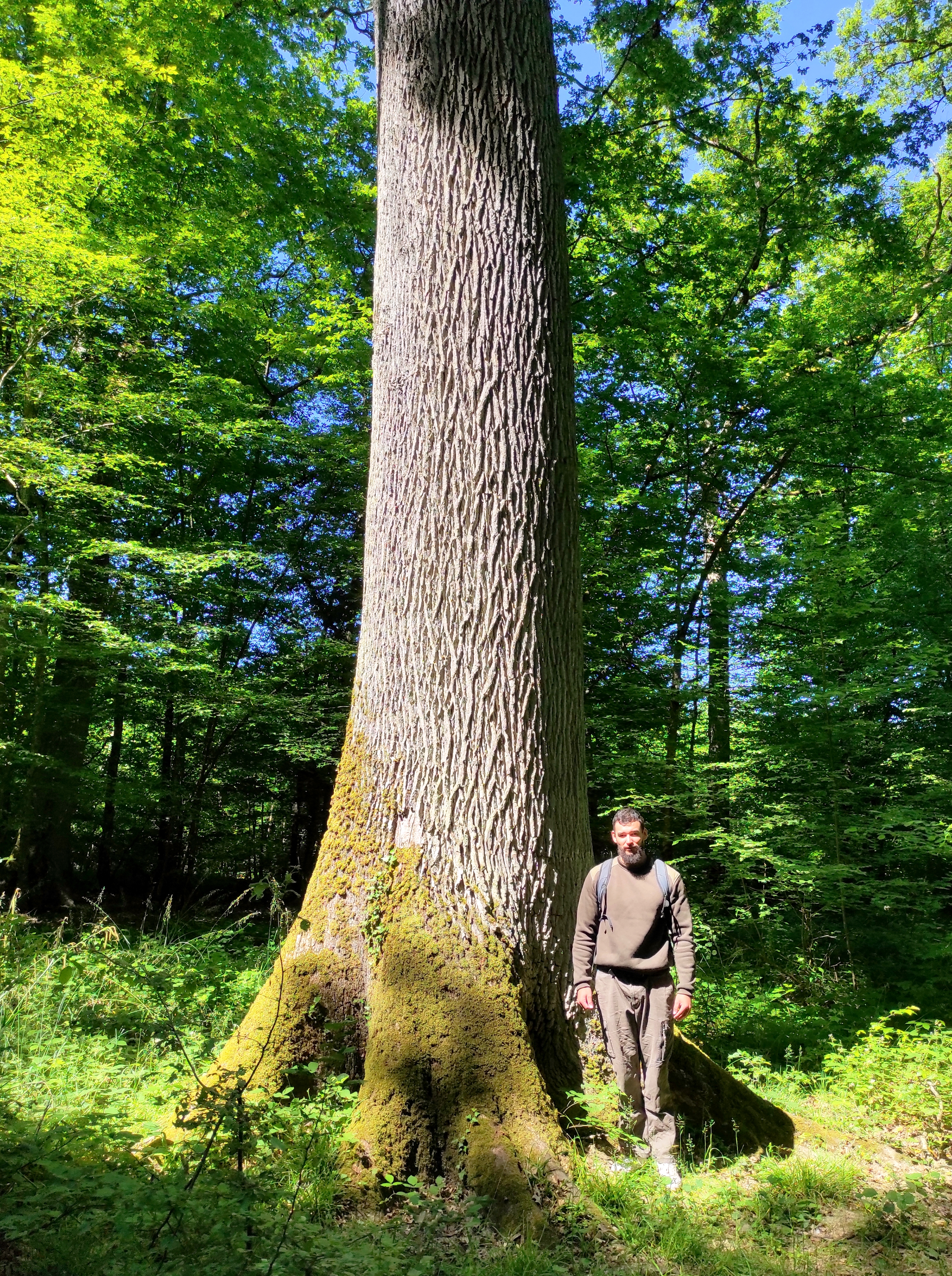 Photo 6 – Matthieu Jeanville